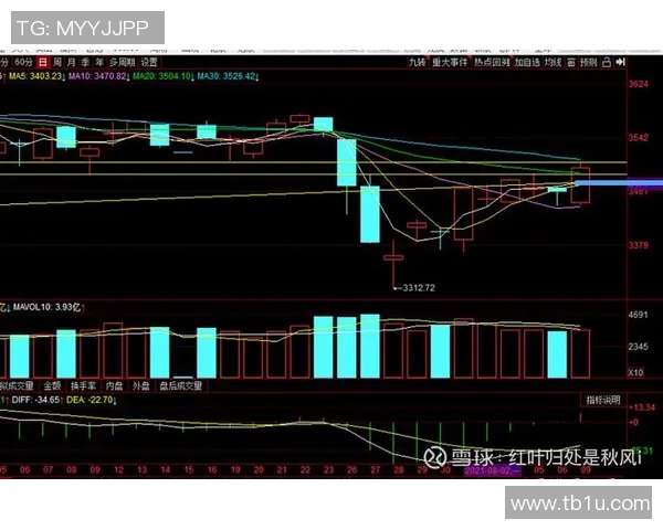 西安羽毛球队与深圳羽毛球队赛后复盘分析比赛节奏与战术对比