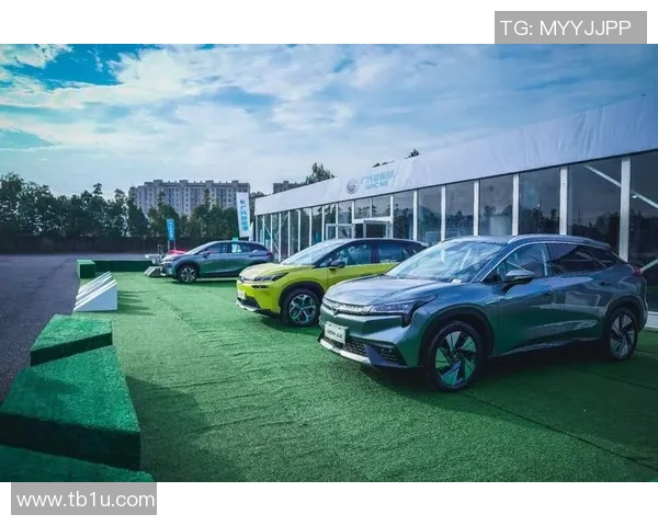 深圳篮球队速度创新高引领联赛新潮流展现卓越实力