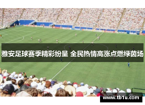 雅安足球赛季精彩纷呈 全民热情高涨点燃绿茵场